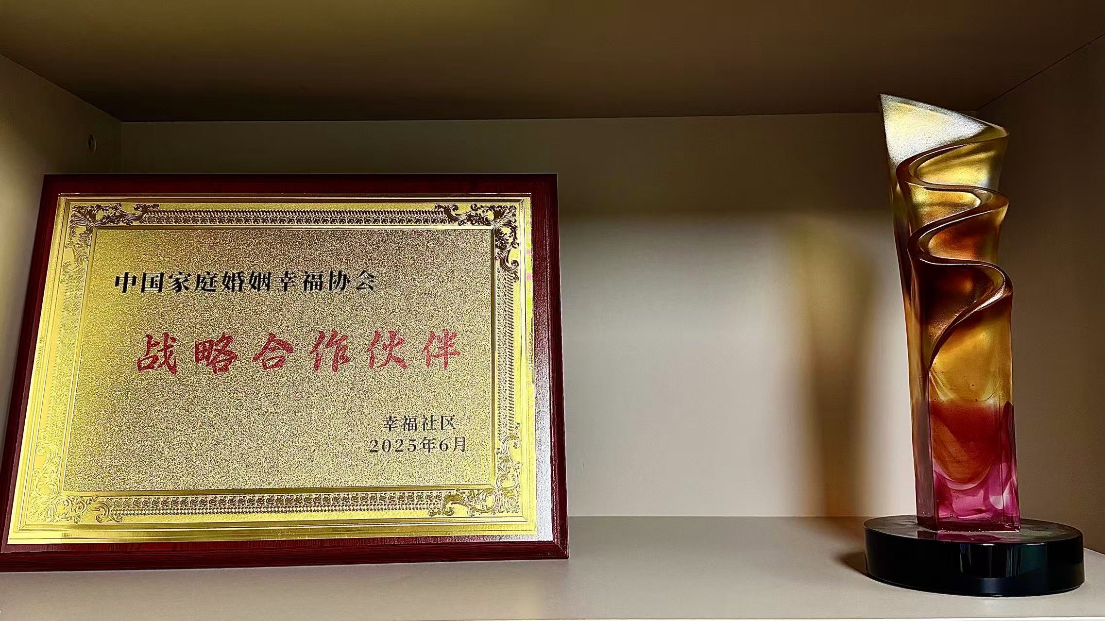 战略合作伙伴证书